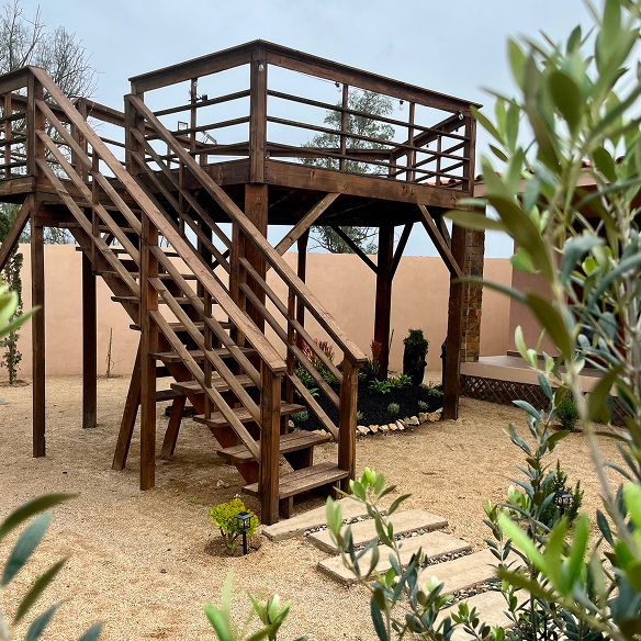 Nuestra esencia Terra Videira